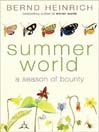 Summer World